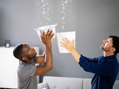 About Arlington MA Mold Remediation Pros - mold remediation experts in Arlington